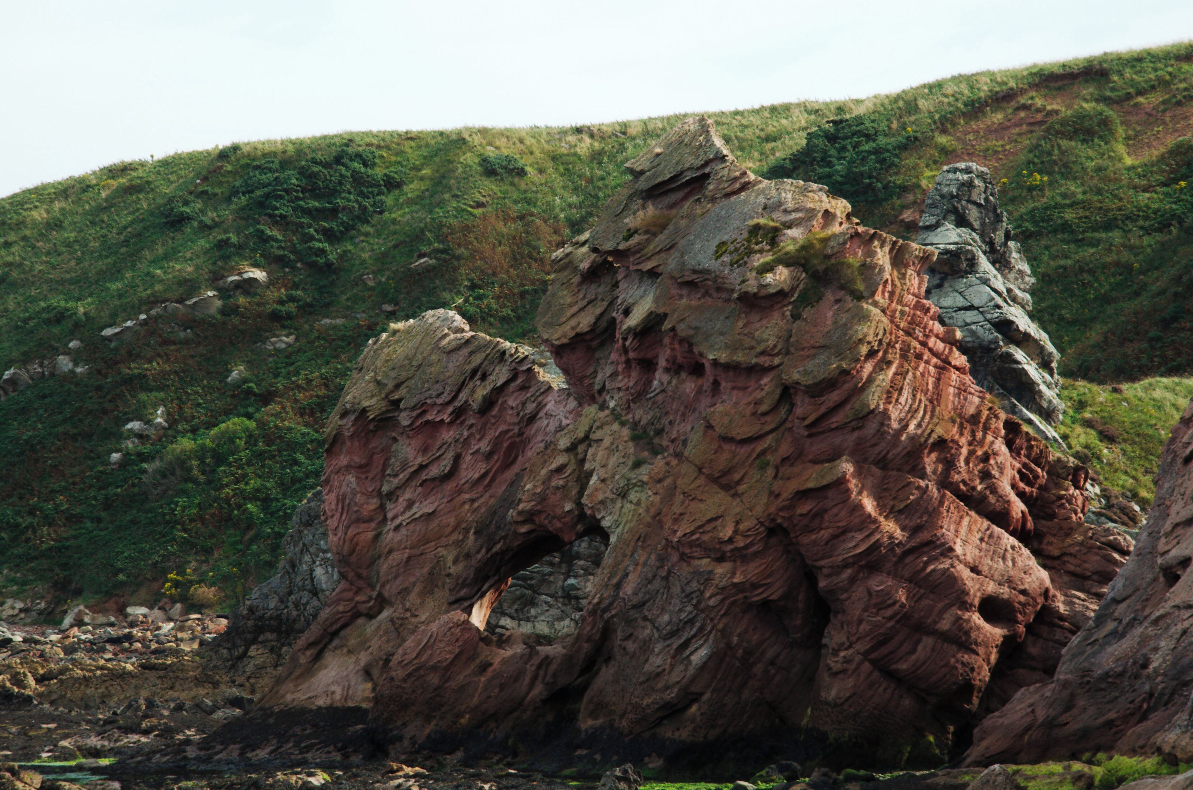 Walk to Siccar Point