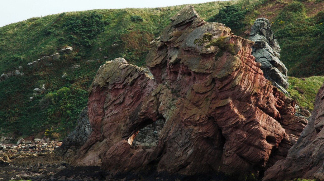 Walk to Siccar Point