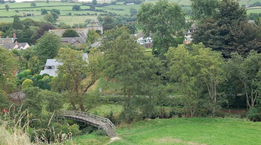 Footbridge and church A prospect of the town from just below the castle.