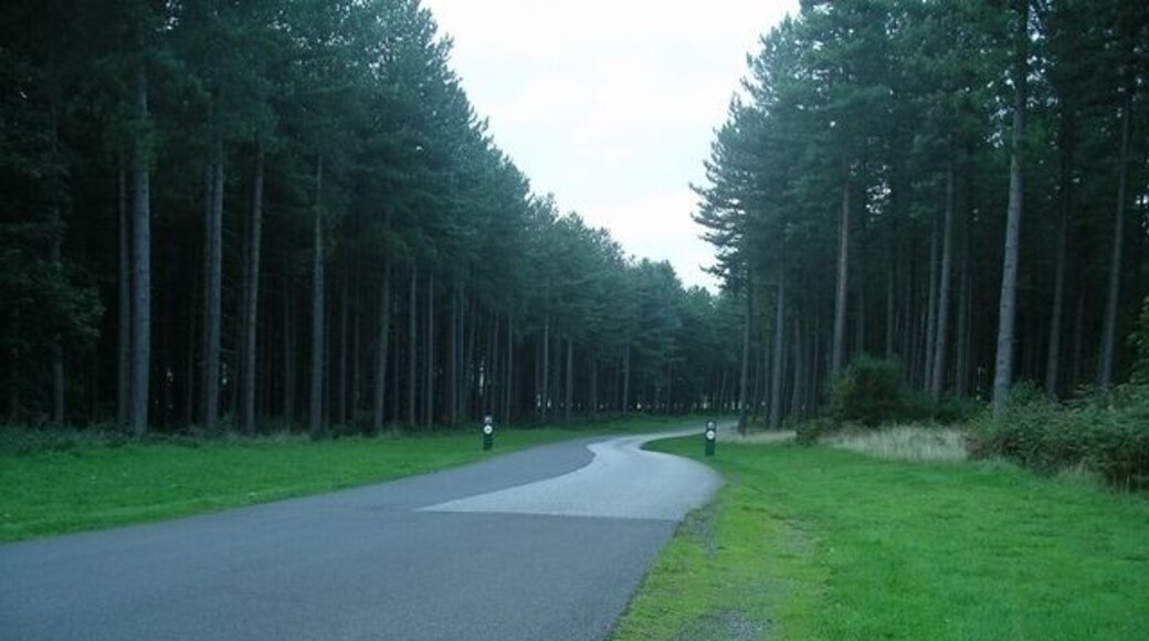 Access road, Sherwood Pines forest park Access road through the forest from the B6030 to the visitor centre at SK611637.