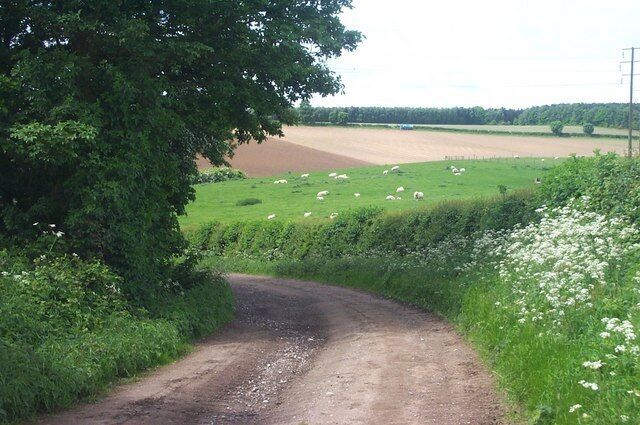Farmland at New Buildings Drive.