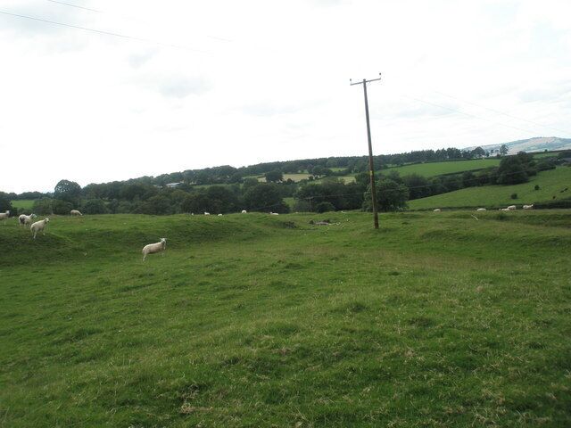 Flock of sheep in a field at Cold Weston, in the civil parish of Clee St. Margaret, Shropshire England.