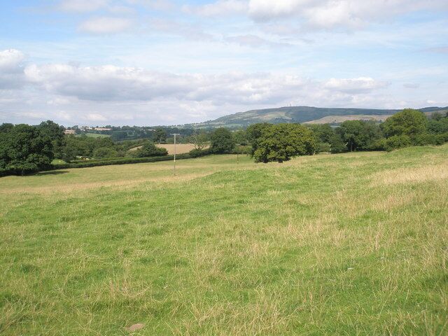 They're blue to me Whenever my stepson heard me quote AE Housman, he would say "But they're not blue- they're green." I'm with PG Wodehouse: they are if you look with a literary rather than a pedantic eye. Taken just south of the former St Mary's Church, Cold Weston.