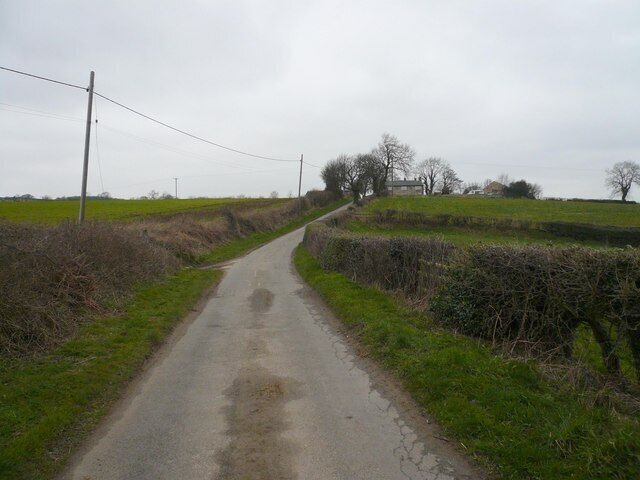 Un camino rural estrecho bordeado por campos y setos, con cielo nublado.