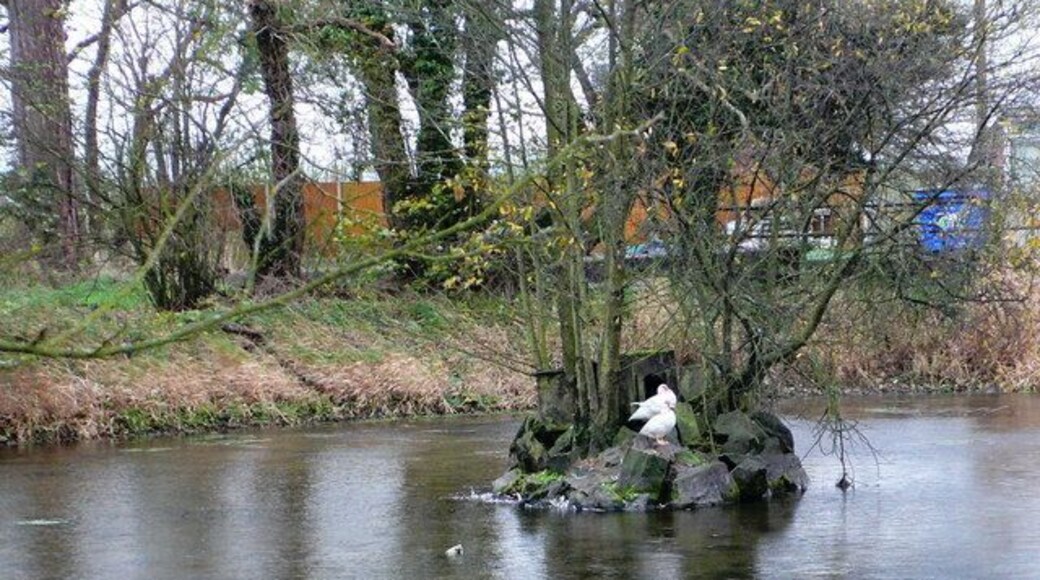 Village Pond, Clawddnewydd The pond is adjacent to the pub, the Glan Llyn (= Lakeside) and is inhabited by two ducks who live on an island in its middle.