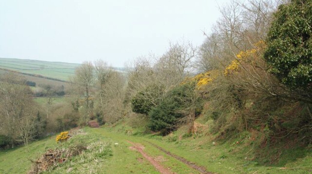 Clatworthy: bridleway near Week Farm Looking north east