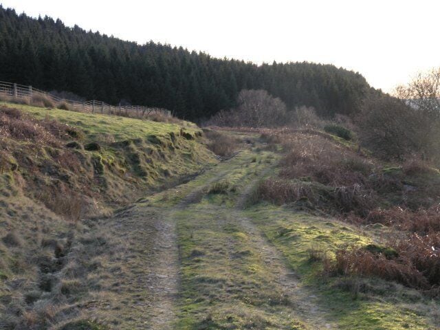 A farm track on Pen-Y-Graig The track was little used but did have some mountain bike tracks and some older tyre tracks.
