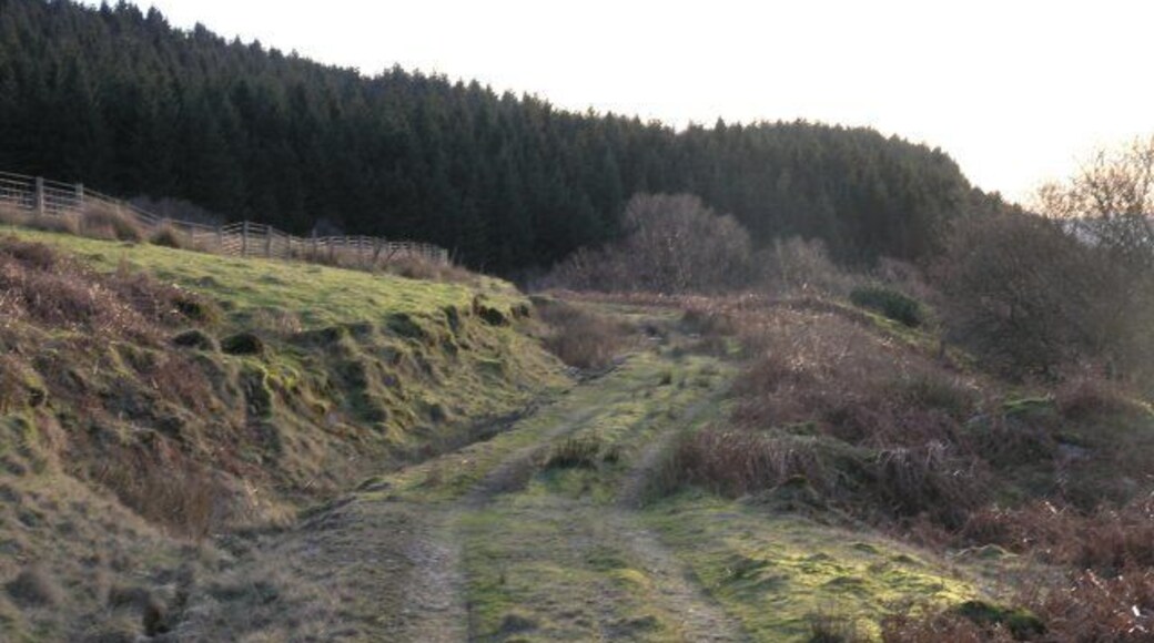 A farm track on Pen-Y-Graig The track was little used but did have some mountain bike tracks and some older tyre tracks.