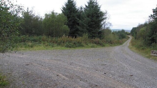 A distant view There aren't all that many distant views when walking through the Crynant forest.