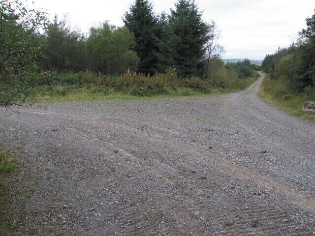 A gravel road in a rural area with dense vegetation on both sides.
