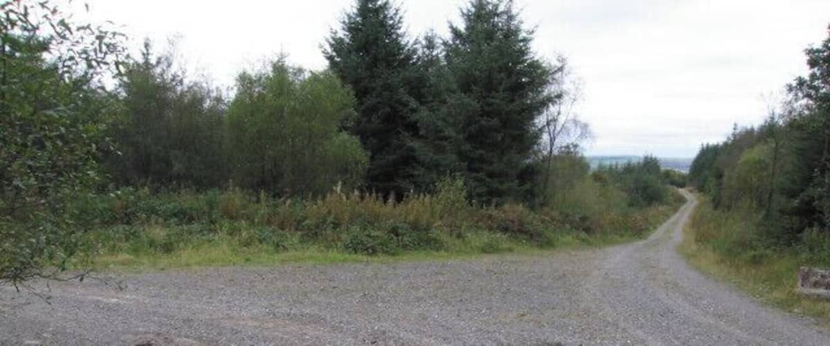 A gravel road in a rural area with dense vegetation on both sides.