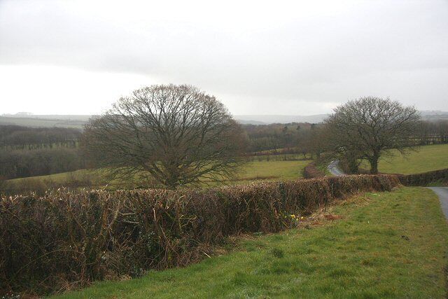 Minor road to Oakford (Derwen Gam) The road winds through undulating countryside, east of Oakford.