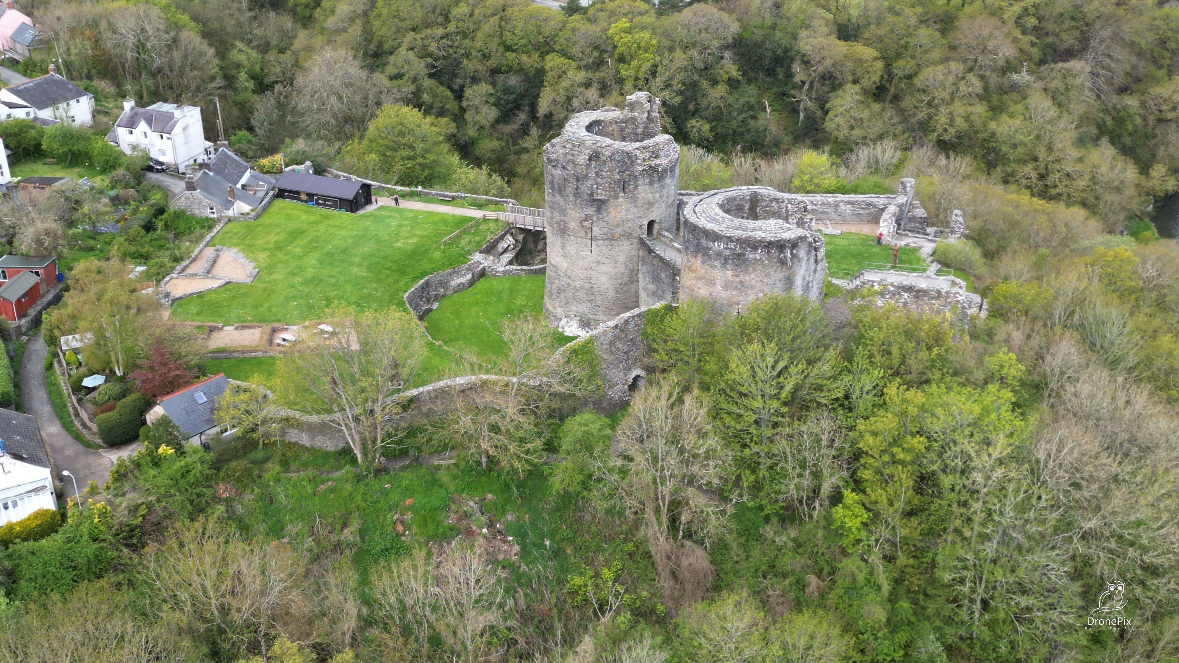 A historic castle surrounded by lush greenery and residential buildings.