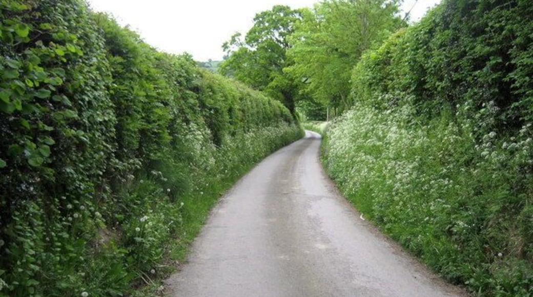 Lane near Lower Cwm Quiet country lane between Cwm and Lower Cwm near Mellington Hall.