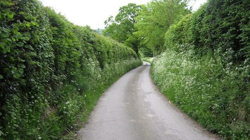 Lane near Lower Cwm Quiet country lane between Cwm and Lower Cwm near Mellington Hall.