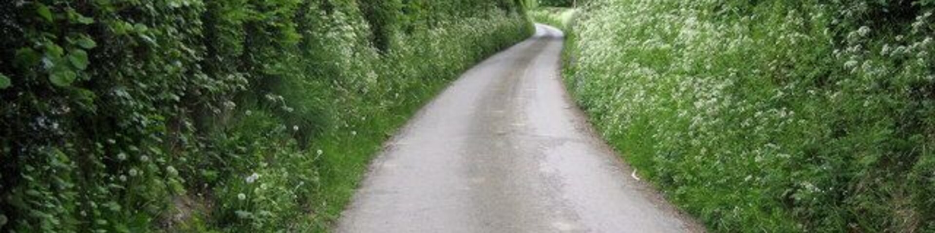 Lane near Lower Cwm Quiet country lane between Cwm and Lower Cwm near Mellington Hall.