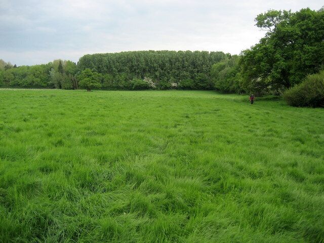 Mellington Wood Looking south along the line of the Offa's Dyke Path towards to Mellington Wood.