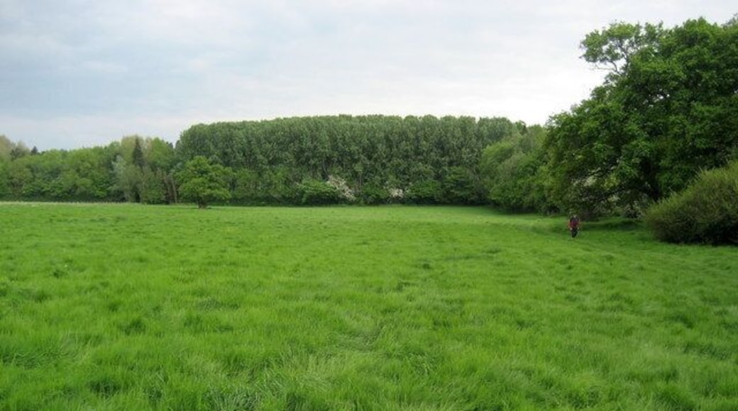 Mellington Wood Looking south along the line of the Offa's Dyke Path towards to Mellington Wood.