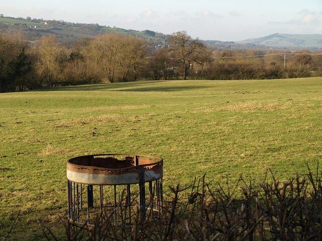 Border field This field beside The Snead Farm is in Wales but bordered on two sides by England; in fact, a tiny strip near the camera is just inside Shropshire. The feeder is more or less on the boundary, as is the photographer. The trees on the left follow the line of the Camlad, which forms the border for two kilometres westwards.