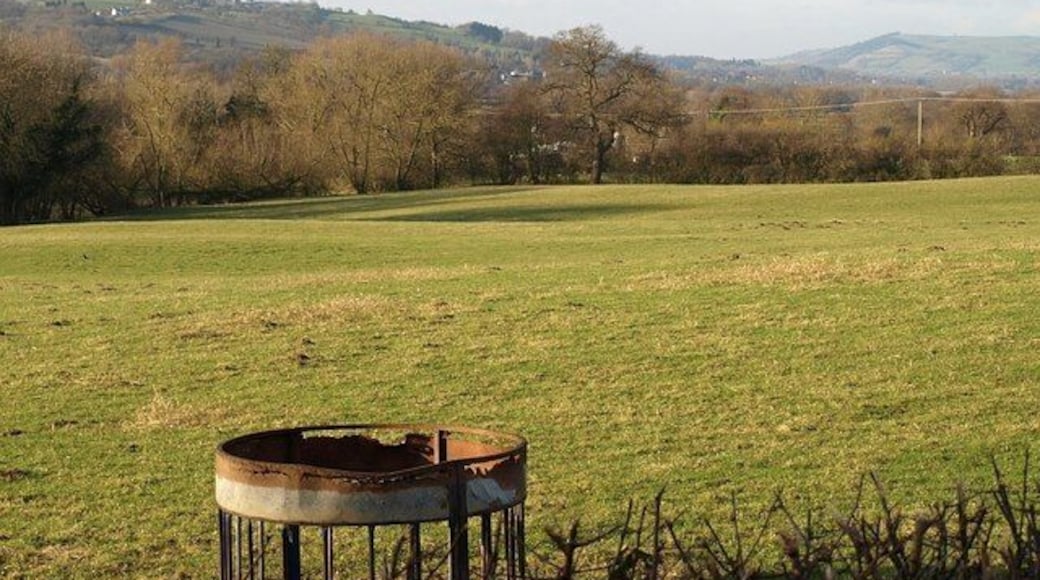 Border field This field beside The Snead Farm is in Wales but bordered on two sides by England; in fact, a tiny strip near the camera is just inside Shropshire. The feeder is more or less on the boundary, as is the photographer. The trees on the left follow the line of the Camlad, which forms the border for two kilometres westwards.