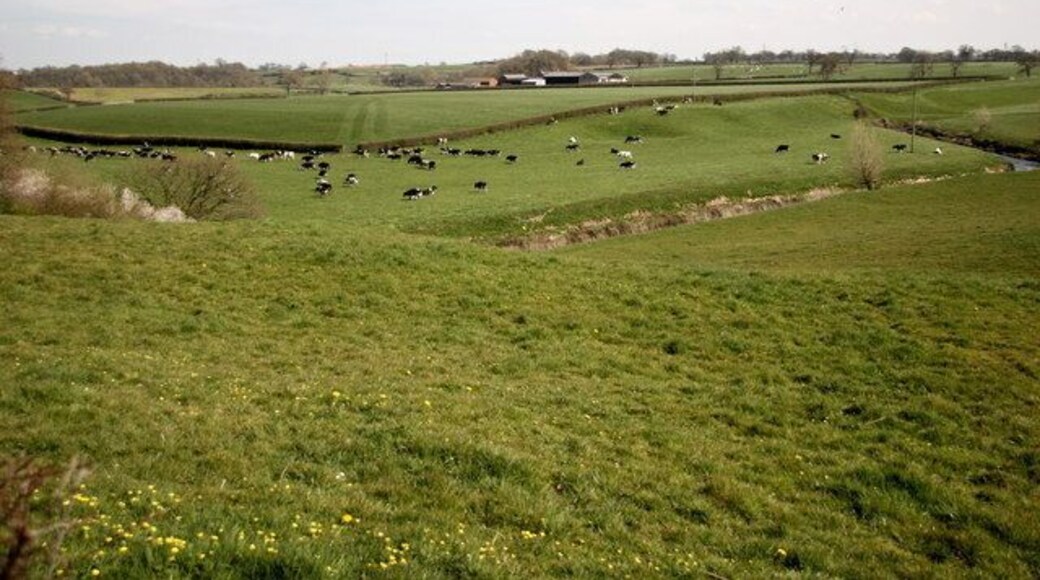 Salt Subsidence Topography, Cheshire This undulating topography on the otherwise very flat Cheshire Plain near Wade's Green Hall between Winsford and Nantwich is caused by dissolution of the underlying Triassic salt horizons at what is known as "Wet Rockhead".
