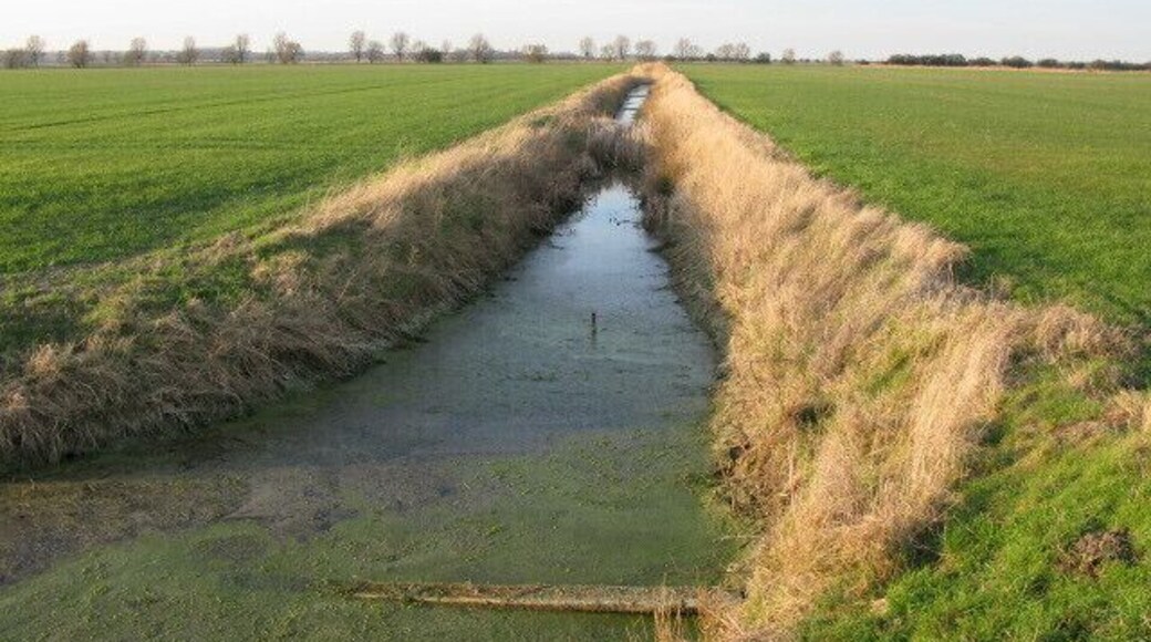 View along ditch towards Gilling Drove