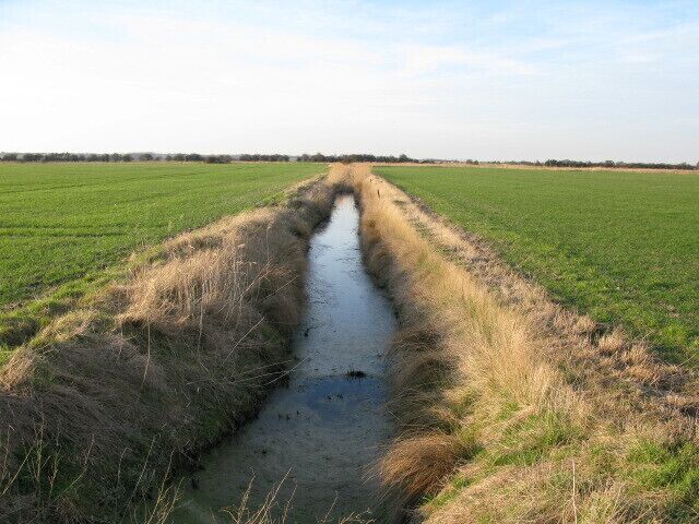 View along ditch to Gilling Drove