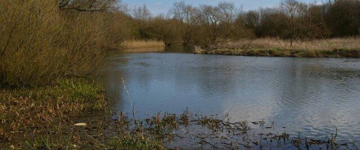 A calm river with trees and grassy banks.