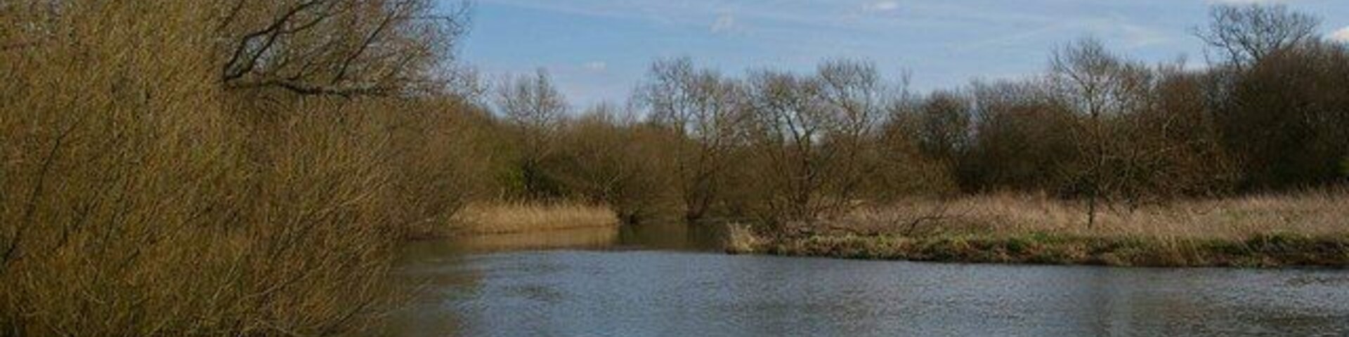 A calm river with trees and grassy banks.