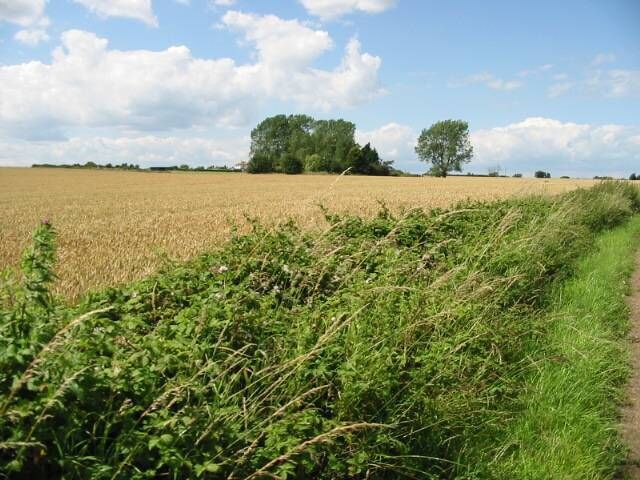 View across farmland near Hoath
