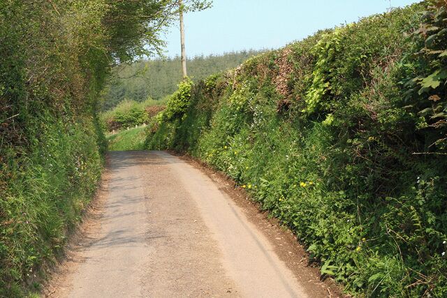 Chipstable: lane at Raddington Bottom. Looking north east near Rectory Farm