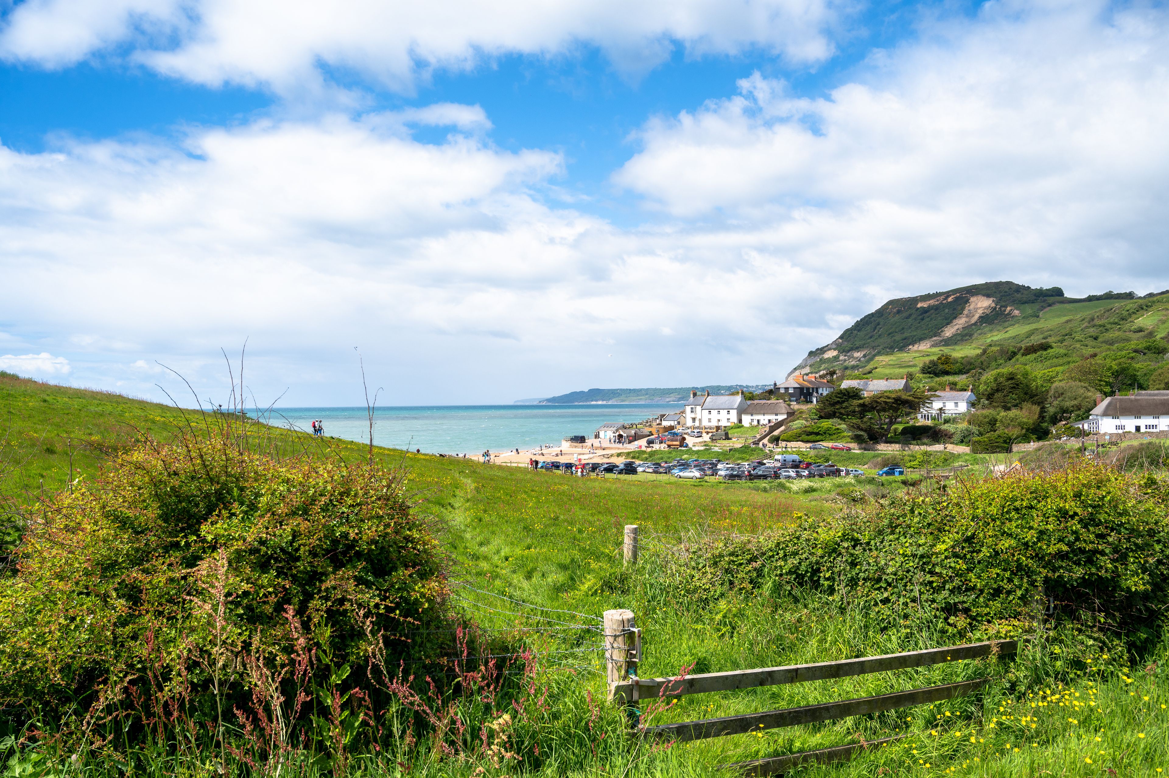 A coastal landscape with a grassy foreground, a beach, and a hill with buildings.