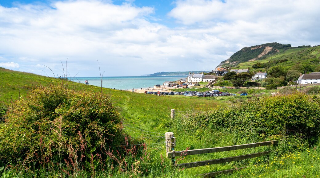 A coastal landscape with a grassy foreground, a beach, and a hill with buildings.
