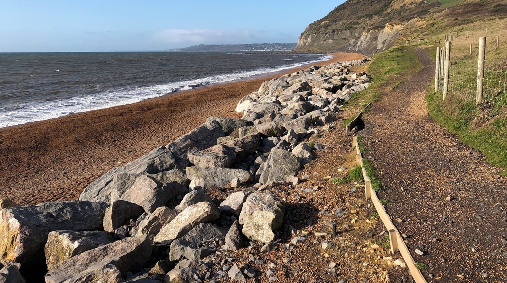 This stunning beach view has the Golden Cap in the distance which was a pleasant and fairly easy to walk. We then walked back down through his Langdon Woods and had a lovely meal at The Anchor Inn.