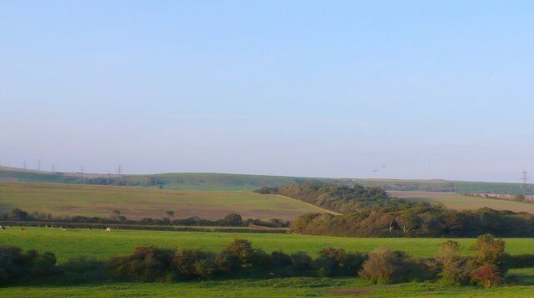 Countryside near Tatton View NE across the square from close to the entrance to Tatton farm. Dairy Farm Coppice can be seen in the distance.