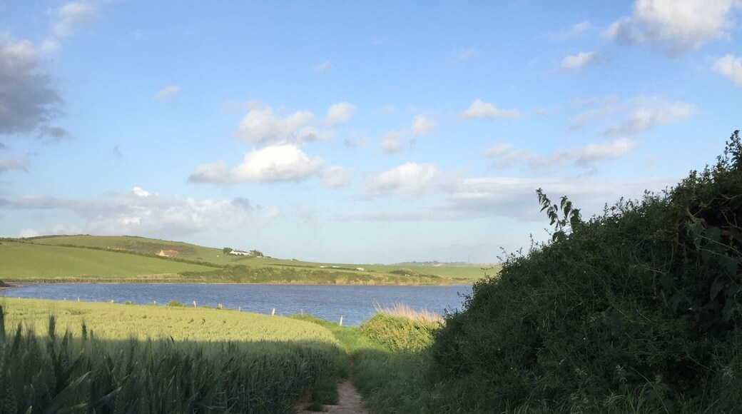 Lovely coastal walks with a choice of walking through the maize fields or along the pebble beach