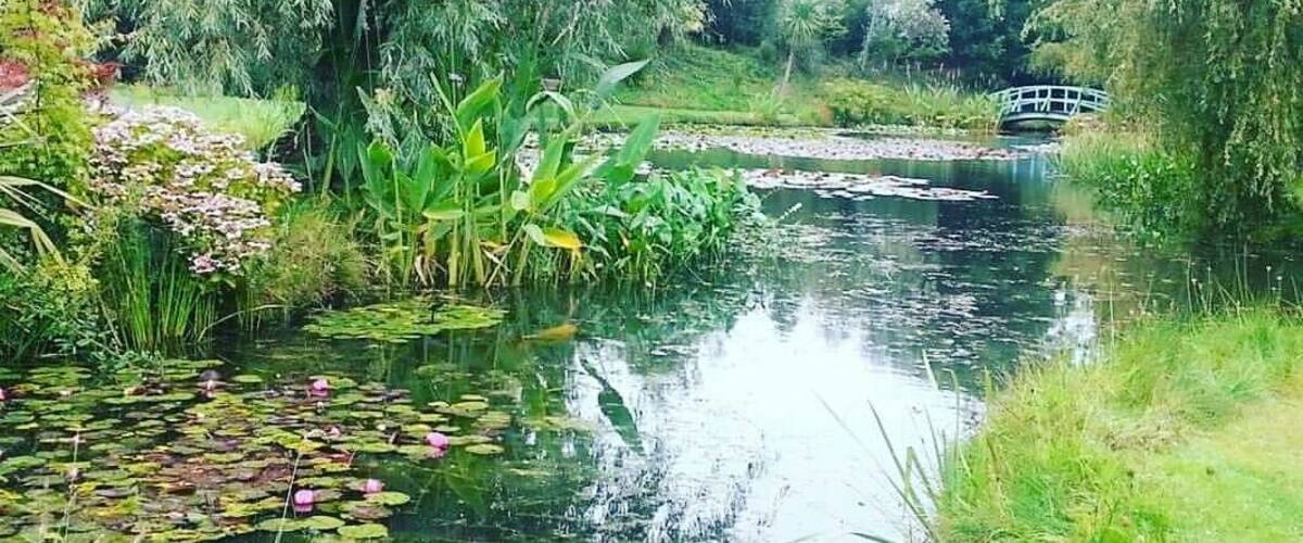 Beautiful place with lots of massive ponds.