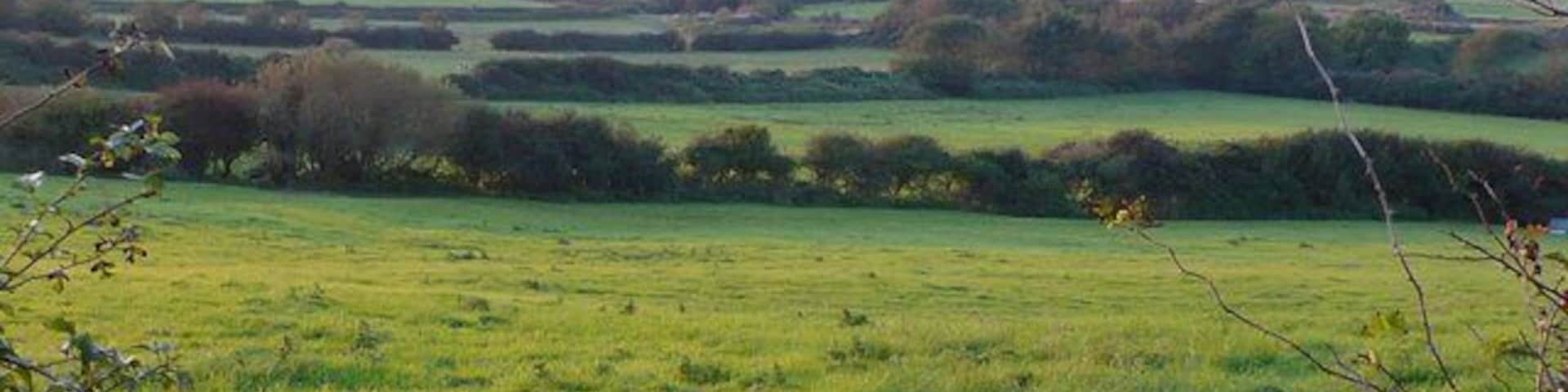 Paisaje rural con colinas ondulantes, un campo y árboles dispersos.