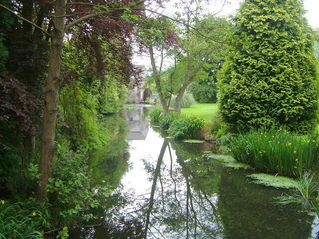 Un canal estrecho bordeado por exuberante vegetación y un árbol alto y frondoso.