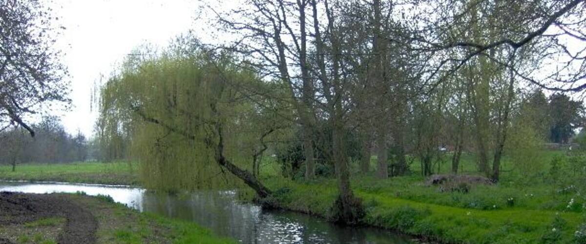 A river flowing through a park with trees and a brick wall in the foreground.
