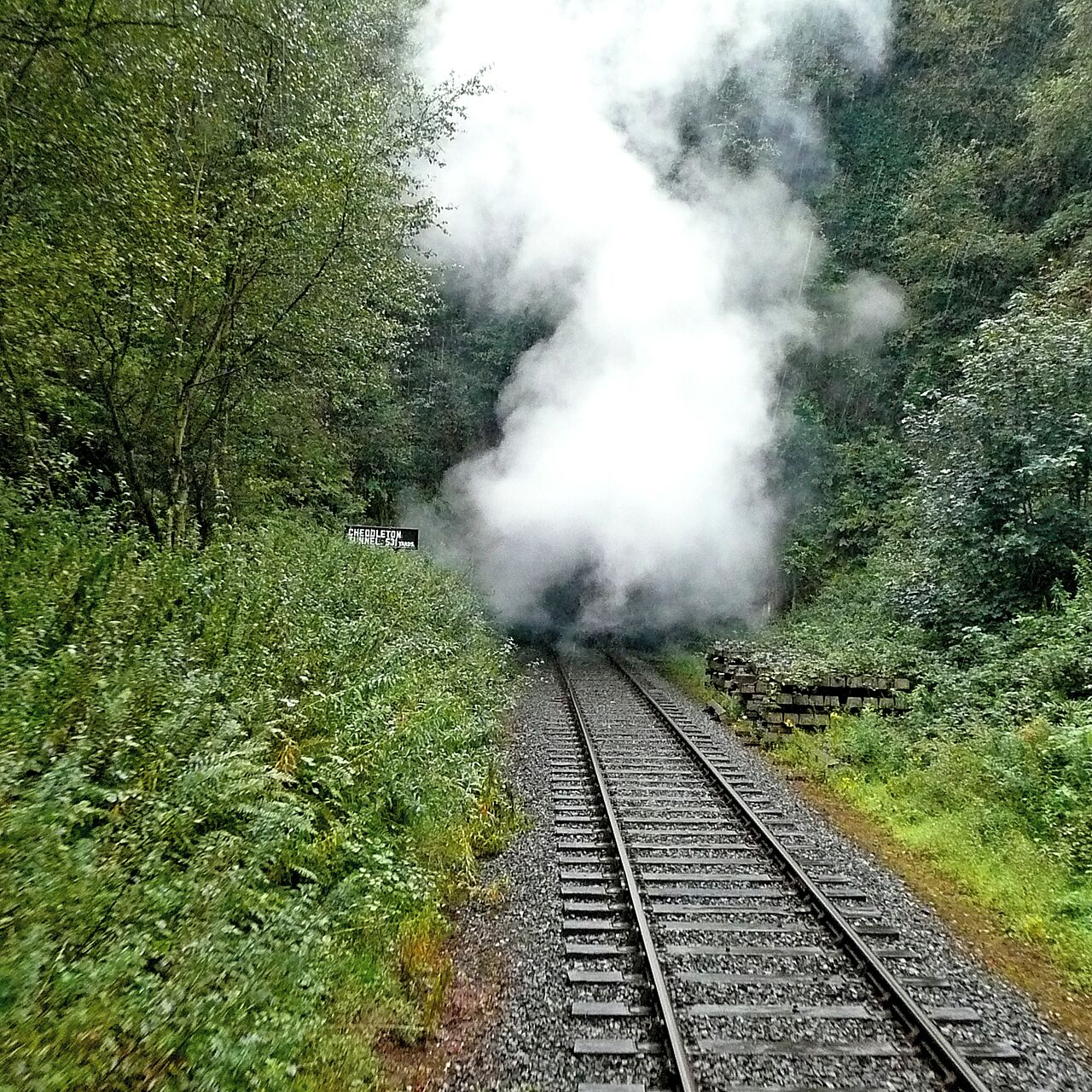 Railway at Cheddleton Heath, Staffordshire The Churnet Valley railway runs steam hauled trains from Froghall to Cheddleton via Leekbrook Junction. This image shows the line where it enters the 485 metre long Cheddleton Tunnel. However, an engine has just come through the tunnel, which is temporarily obscured from view.