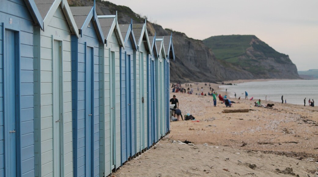 Great for fossil hunting