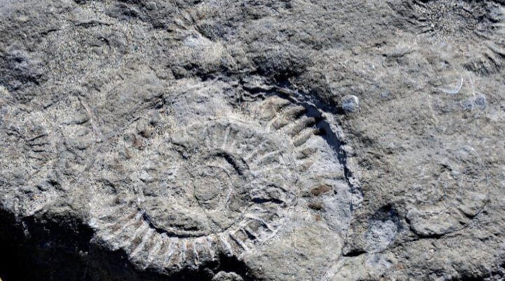 This coast line is also referred too as the jurassic coast. And yes, if you walk along the coast, it's not hard to find your own fossils.
During our English and Scottish #roadtrip.