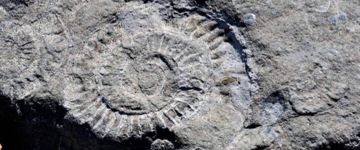 This coast line is also referred too as the jurassic coast. And yes, if you walk along the coast, it's not hard to find your own fossils.
During our English and Scottish #roadtrip.