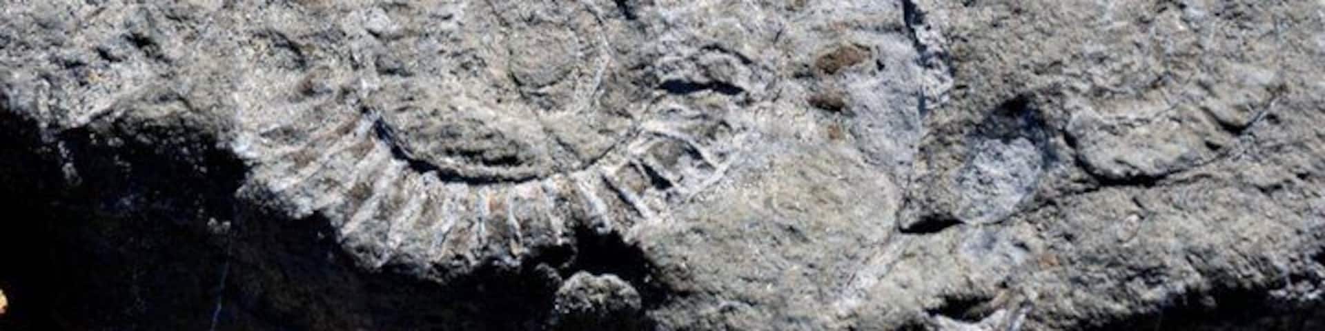 This coast line is also referred too as the jurassic coast. And yes, if you walk along the coast, it's not hard to find your own fossils.
During our English and Scottish #roadtrip.