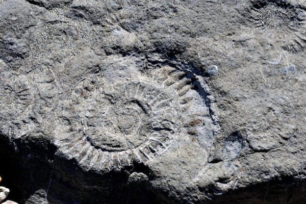 This coast line is also referred too as the jurassic coast. And yes, if you walk along the coast, it's not hard to find your own fossils.
During our English and Scottish #roadtrip.