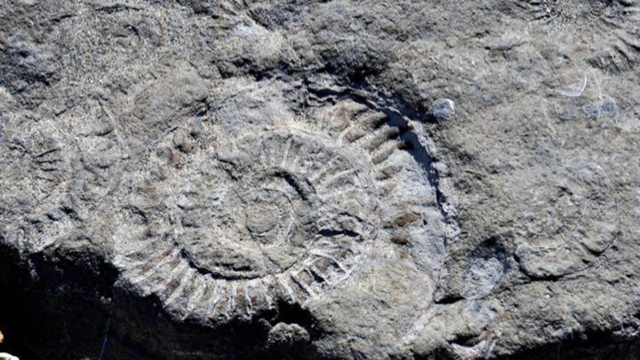 This coast line is also referred too as the jurassic coast. And yes, if you walk along the coast, it's not hard to find your own fossils.
During our English and Scottish #roadtrip.