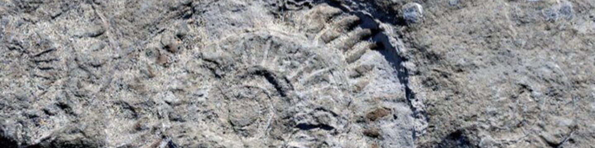 This coast line is also referred too as the jurassic coast. And yes, if you walk along the coast, it's not hard to find your own fossils.
During our English and Scottish #roadtrip.