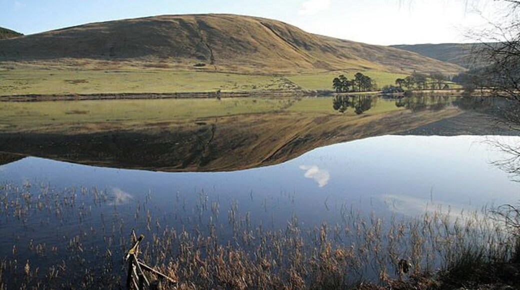A calm St Mary's Loch Viewed on a beautiful February morning with Nether Hill reflected in the calm water. St Mary's Loch, at 3 miles long with a maximum depth of 46m, is the largest natural loch in the Scottish Borders.