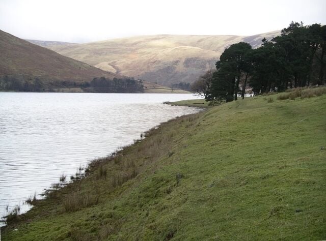 St Mary's Loch. Looking N, with March Wood in the middle distance
